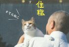 トレンドを意識した、愛猫に安全かつ快適に過ごしてもらうためのキャリーバック